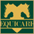 Website Design in Egypt :Equicare Products : Fine Equestrian Products